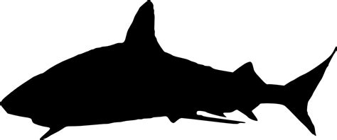 6 Shark Silhouette (PNG Transparent) | OnlyGFX.com