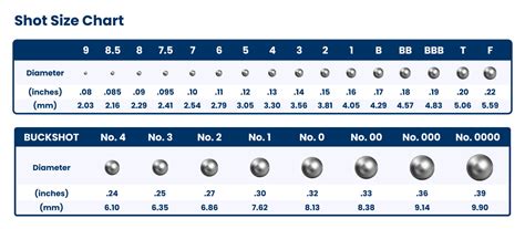 Types of Shotgun Shells: Birdshot vs Buckshot vs Slugs | Academy