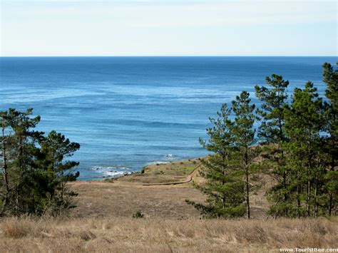 5 Beautiful Cambria Hiking Trails | TouristBee