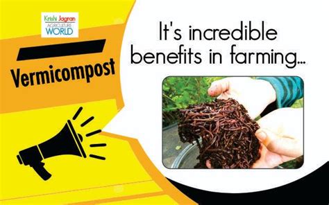 Know the Importance & Benefits of Vermicompost and Complete Process of Making It