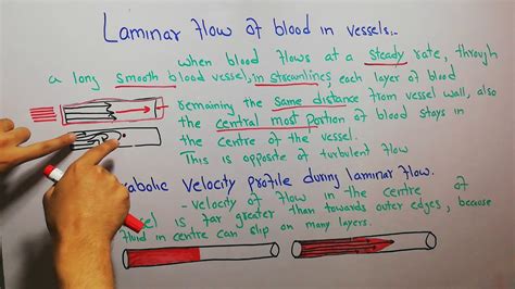 CVS physiology 59. Laminar flow of blood in vessels, parabolic velocity ...