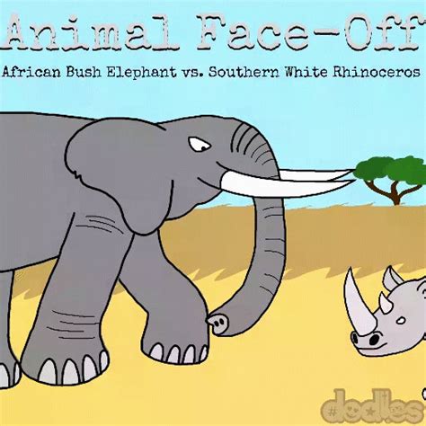 Animal Face-Off Elephant vs Rhino by DavideoStudio on DeviantArt