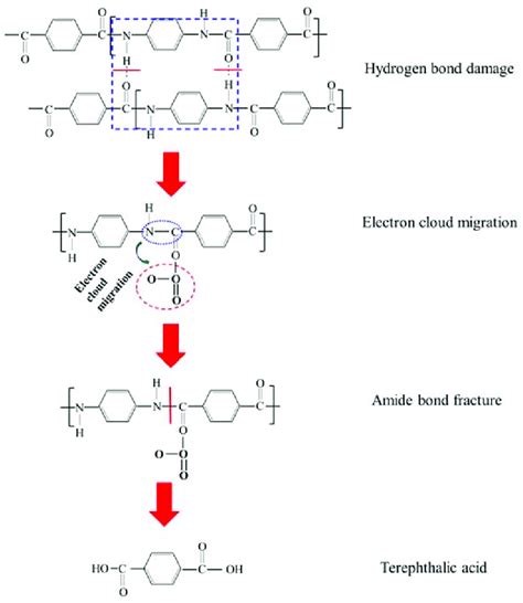 The reaction mechanism of Kevlar fiber in an ozone environment. | Download Scientific Diagram