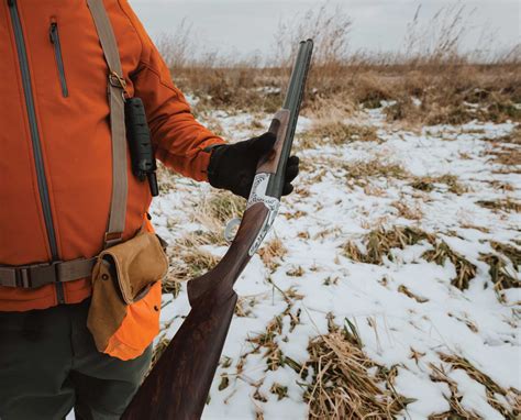 How to Choose a Shotgun for Pheasant Hunting - Project Upland