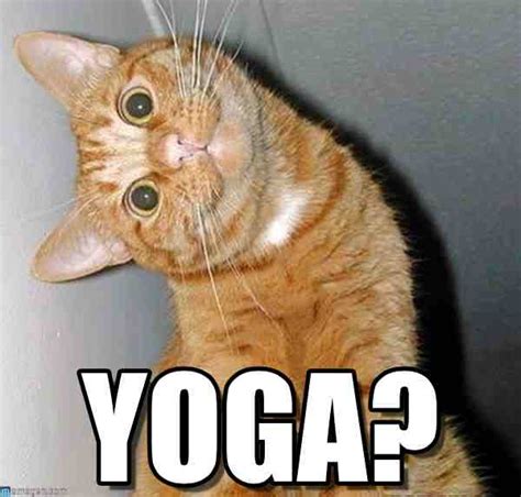 40+ Hilariously Funny Yoga Memes