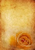Old paper background, vintage rose — Stock Photo © Irochka #5129172