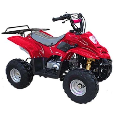 Mini Quad Motorcycles for sale