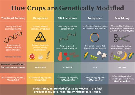 Genetic Engineering in Farming