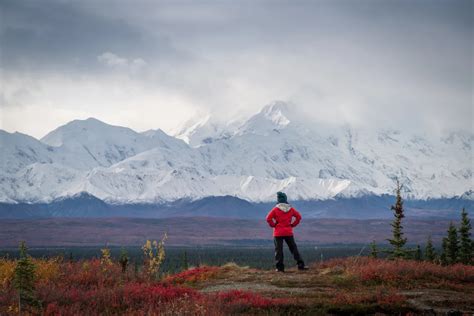 Hiking and camping in Denali National Park: A Hiker’s Paradise | Alaska