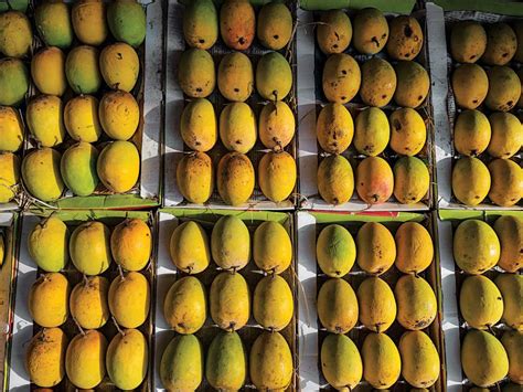 Video: How to Peel a Mango with a Water Glass | Saveur