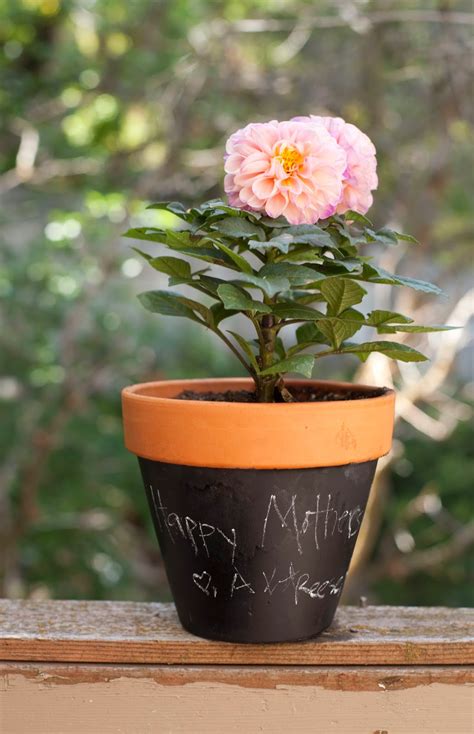 our daily obsessions: Mother's Day Gift - chalkboard flower pots