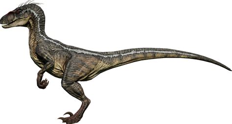 velociraptor jurassic park 3 2001 Maschio by 3383383563 on DeviantArt