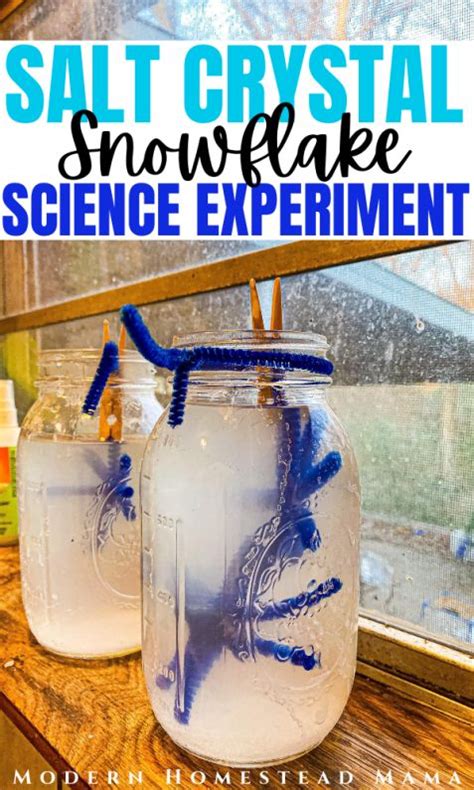 Salt Crystal Snowflakes Winter Science Experiment | Winter science ...