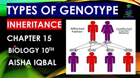 Types of Genotype - YouTube