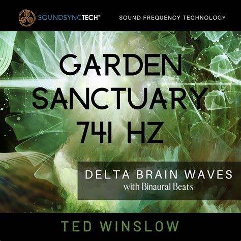 Pin by Ted Winslow on Delta Brain Wave Frequencies with Binaural Beats ...