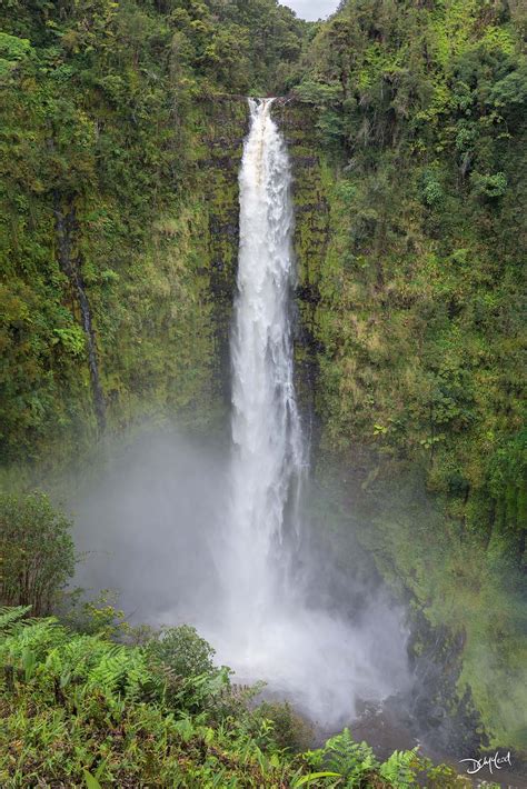 Akaka Falls | Hawaii | Dean McLeod Photography