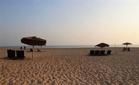 Mandvi Beach Kutch Gujarat, Things to do, Information & Photos