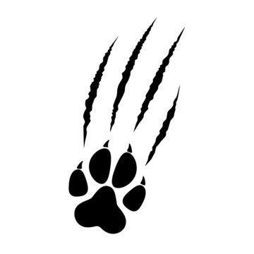 Lion Paw Clipart