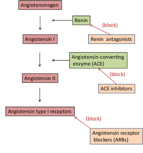 Oral renin inhibitors in clinical practice: a perspective review ...