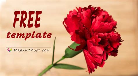 How to make Carnation paper flower, free template, easy