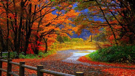 Free Desktop Wallpapers Fall Scenes - Wallpaper Cave