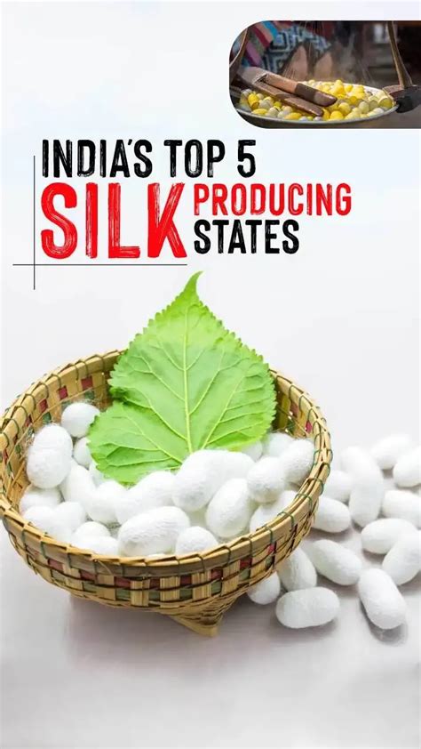 Explore India's Top 5 Highest Silk Producing States