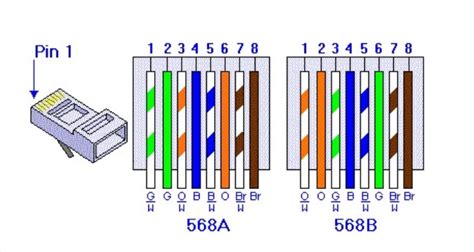 what is the difference between T568A and T568B | P-Shine Electronic ...