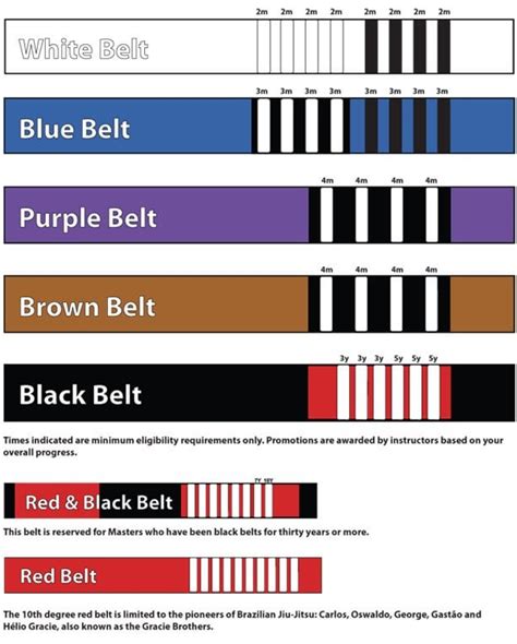 Why the 8 stripes on white/blue on this image of belt promotions? : r/bjj