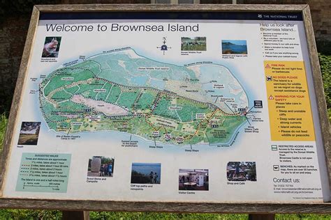 Brownsea Island - Ticket Prices and How to Get There | Dorset Guide