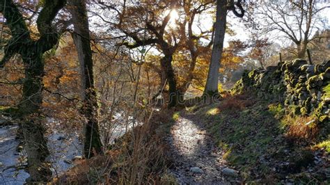 Lake district waterfalls stock image. Image of forest - 203460643