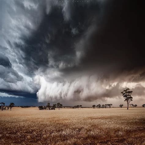 Scud cloud racing across the fields of the wheatbelt. An incredible visual spectacle however the ...