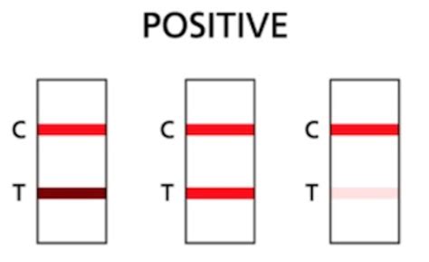 Taking your first rapid antigen test? 7 tips for an accurate result