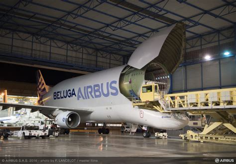 Airbus is setting up a cargo airline with its iconic Beluga aircraft ...