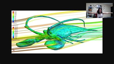 Aerodynamics of a lobster - YouTube