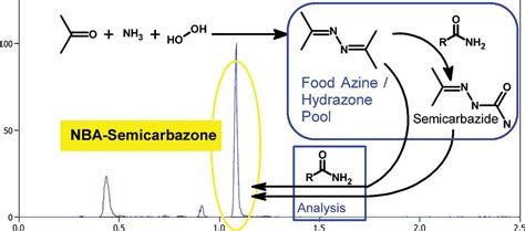 Generation of semicarbazide from natural azine development in foods, followed by reaction with ...