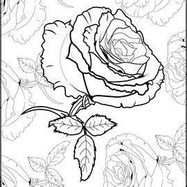 Line art illustration of a Rose by castilloi on Newgrounds