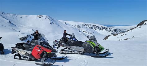 Dog Sled & Snowmobile tour near Anchorage, Alaska - Book now