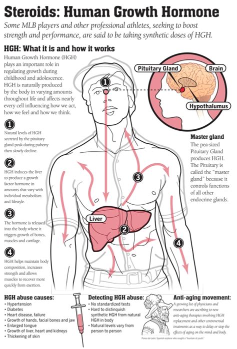 What is HGH Abuse & How to Avoid It? - A1HGH.Com