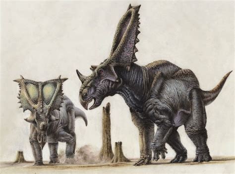 a mesozoic field guide: Chasmosaurus