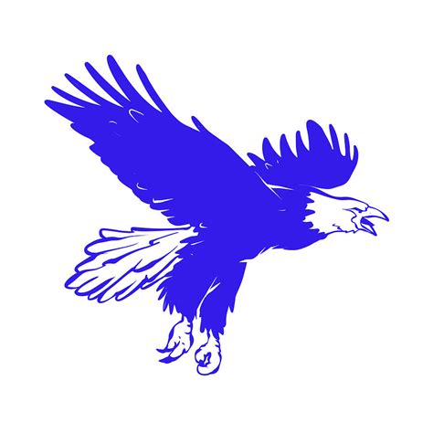 Blue Eagle Drawing by Johnnie Art - Pixels