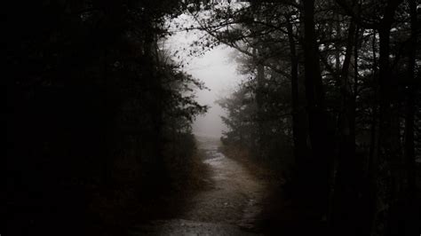 Download wallpaper 1920x1080 dark, forest, road full hd, hdtv, fhd ...