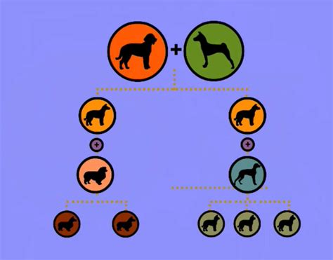 Dog Breeds | BrainPOP Educators