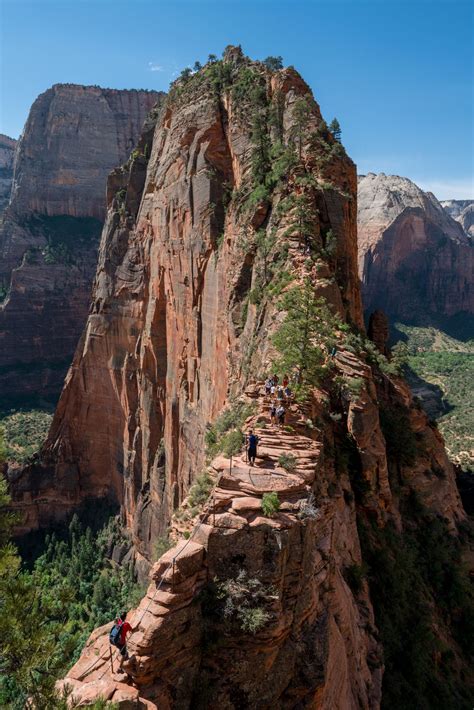 a person climbing up the side of a mountain with trees on each side and ...