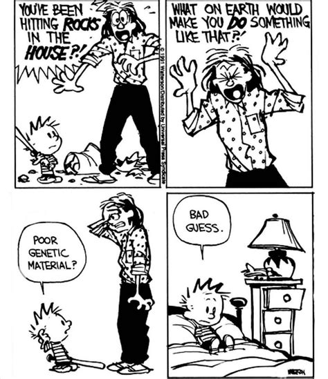 Calvin and Hobbes on Twitter | Calvin and hobbes humor, Calvin and hobbes comics, Best calvin ...