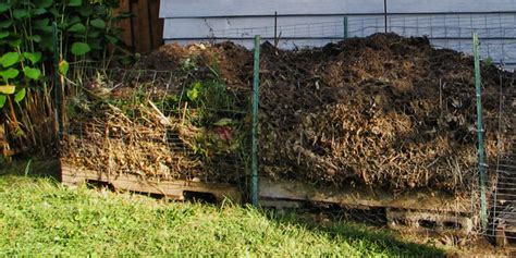 How to Build a Homemade Compost Bin | Budget Dumpster