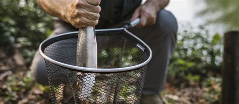 Best Fishing Nets in 2022 [Buying Guide] - Gear Hungry