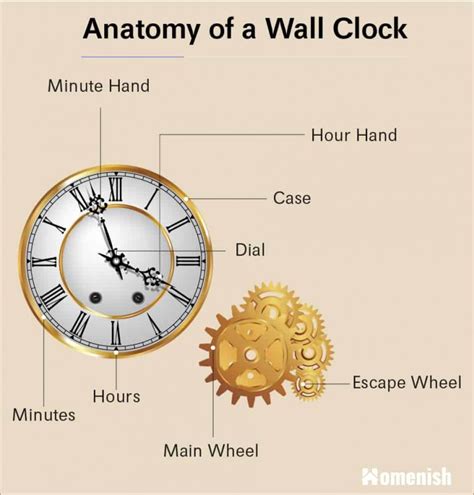 Parts of a Wall Clock Explained - Homenish