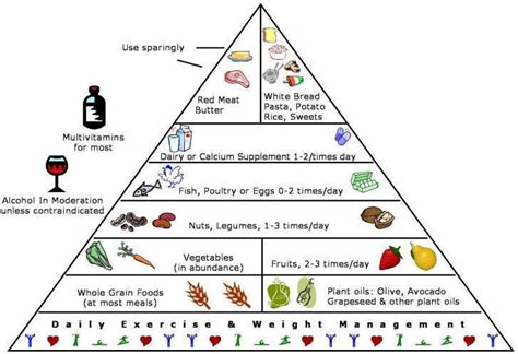 harvard food pyramid | Dicas