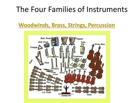 PPT - The Four Families of Instruments PowerPoint Presentation, free ...