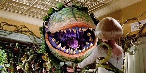 Gremlins 2 Writer and Director Reunite for Little Shop of Horrors Remake